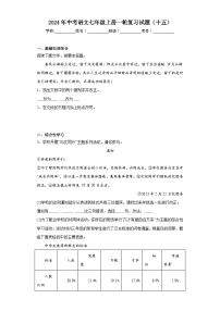 2024年中考语文七年级上册一轮复习试题（十五）