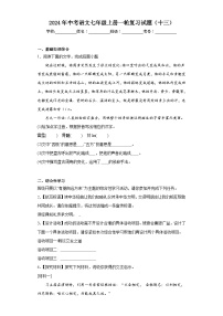 2024年中考语文七年级上册一轮复习试题（十三）