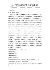 2024年中考语文七年级下册一轮复习试题（五）
