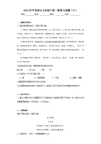 2024年中考语文七年级下册一轮复习试题（十）