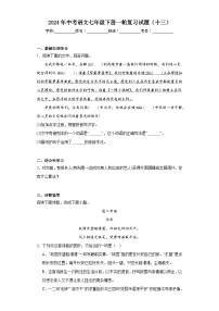 2024年中考语文七年级下册一轮复习试题（十三）