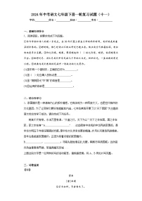 2024年中考语文七年级下册一轮复习试题（十一）