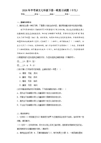 2024年中考语文七年级下册一轮复习试题（十九）