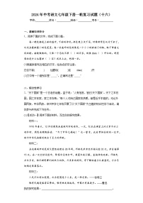 2024年中考语文七年级下册一轮复习试题（十六）