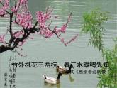 第19课《一棵小桃树》课件-2023-2024学年统编版语文七年级下册
