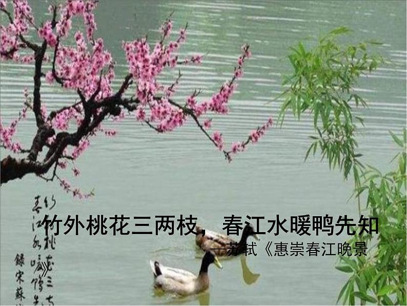 第19课《一棵小桃树》课件-2023-2024学年统编版语文七年级下册05