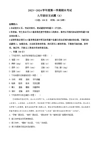 山东省滨州市滨城区2023-2024学年九年级上学期期末语文试题（原卷+解析）