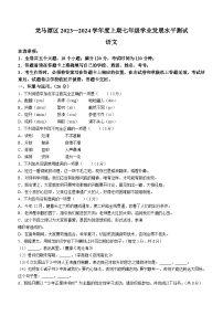 四川省泸州市龙马潭区2023-2024学年七年级上学期期末语文试题（含答案）