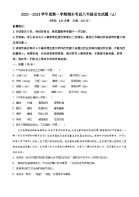 山东省滨州市滨城区2023-2024学年八年级上学期期末语文试题（原卷+解析）