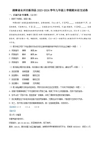 43，湖南省永州市新田县2023-2024学年九年级上学期期末语文试题