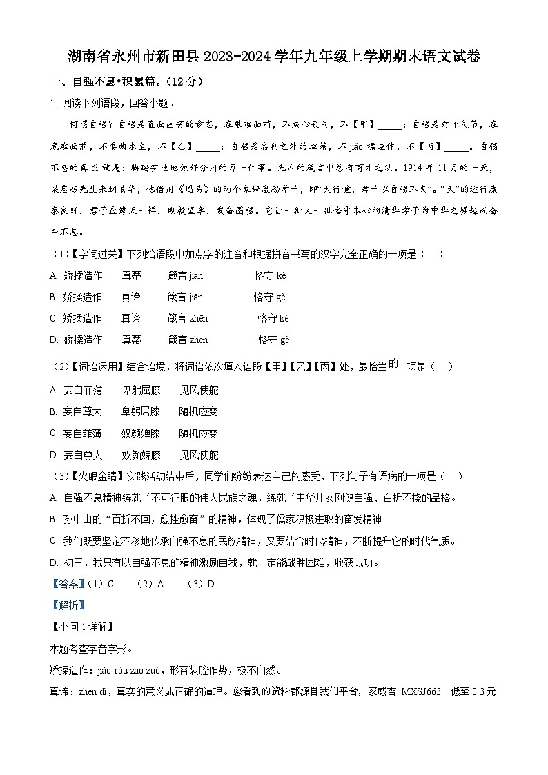 43，湖南省永州市新田县2023-2024学年九年级上学期期末语文试题01