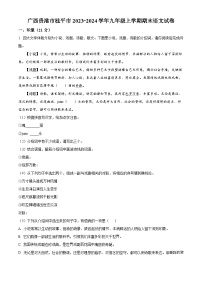 61，广西贵港市桂平市2023-2024学年九年级上学期期末语文试题