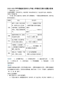 2022-2023学年福建省龙岩市九年级上学期语文期末试题及答案