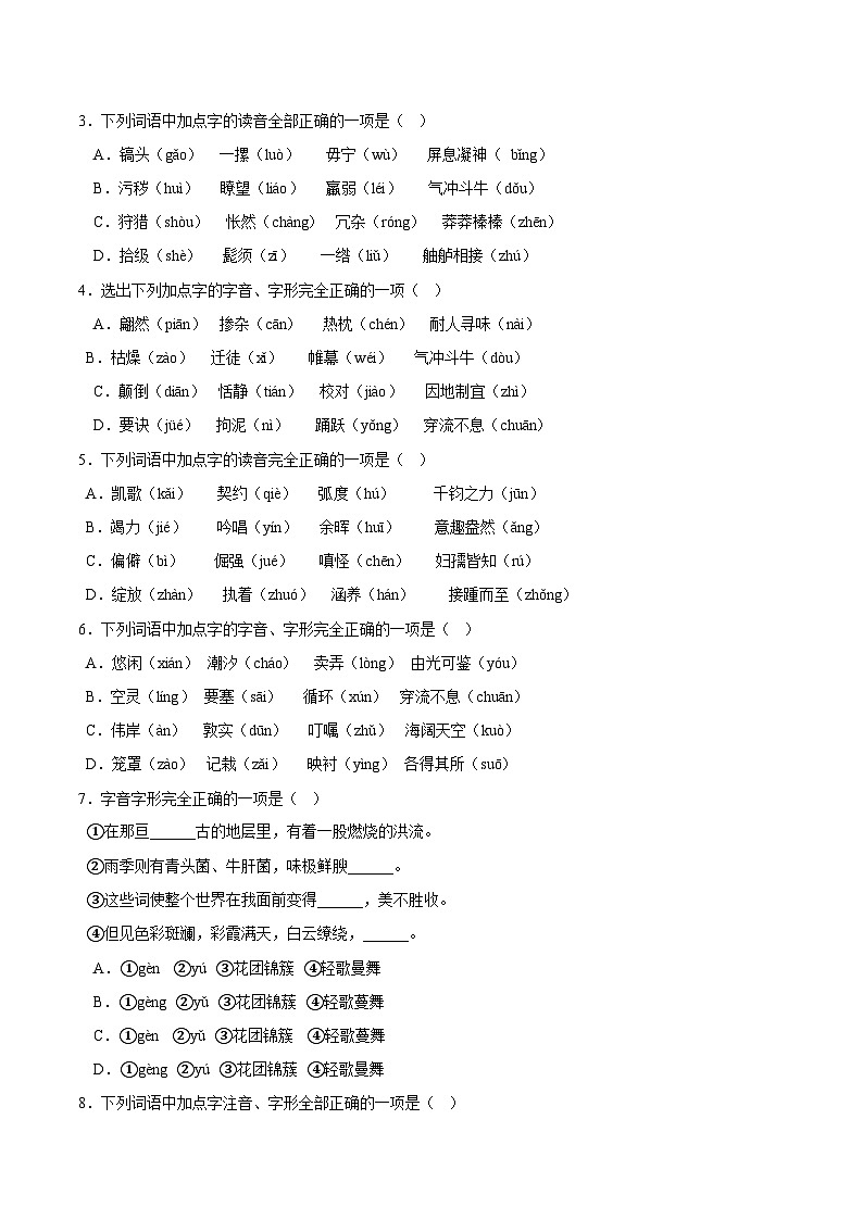 专题02  字音-备战2023年中考语文黄金知识板块高效复习训练营（原卷版）第3页