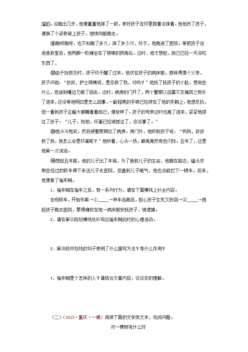 13 小说阅读－学易金卷：2023年中考语文一模试题分项汇编（全国通用）第2页