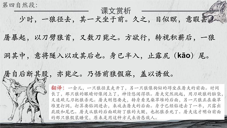 第18课《狼》课件2023-2024学年统编版语文七年级上册08