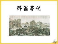 初中语文人教部编版九年级上册醉翁亭记授课ppt课件