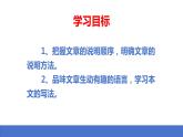 第8课《时间的脚印》课件-2023-2024学年统编版语文八年级下册