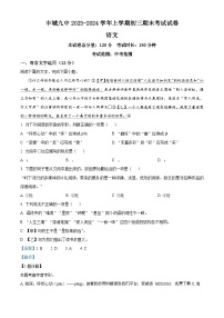 30，江西省宜春市丰城市第九中学2023-2024学年九年级上学期期末语文试题