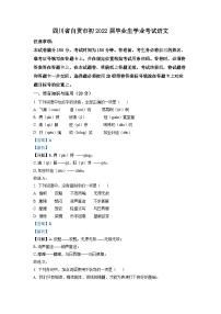 精品解析：2022年四川省自贡市中考语文真题（解析版）