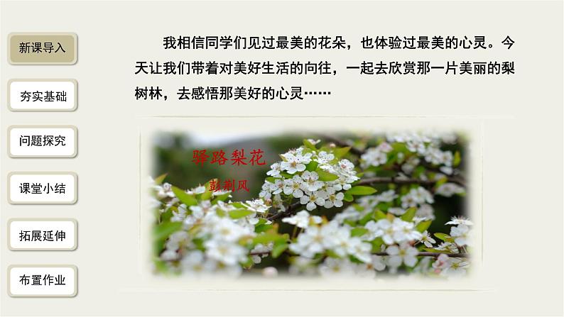 2023-2024学年统编版语文七年级下册 第四单元《驿路梨花》课件第2页