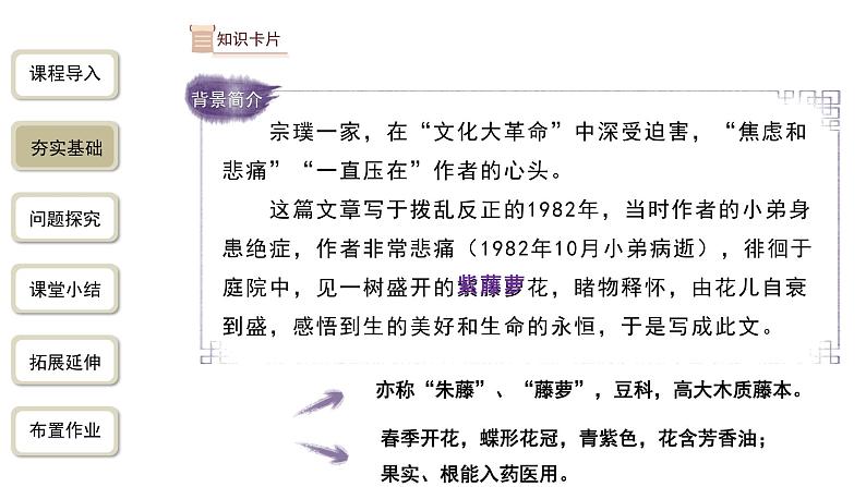 2023-2024学年统编版语文七年级下册 第五单元 《紫藤萝瀑布》 课件第6页