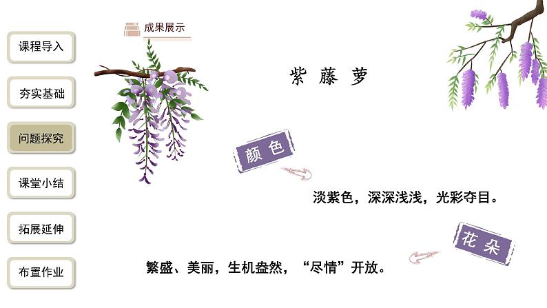 2023-2024学年统编版语文七年级下册 第五单元 《紫藤萝瀑布》 课件第8页