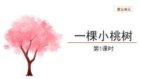 初中语文人教部编版七年级下册一棵小桃树教案配套ppt课件