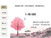 2023-2024学年统编版语文七年级下册 第五单元 《一棵小桃树》 课件