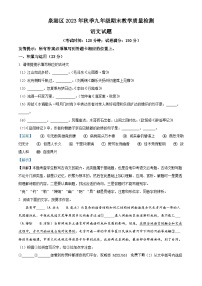 福建省泉州市泉港区2023-2024学年九年级上学期期末语文试题