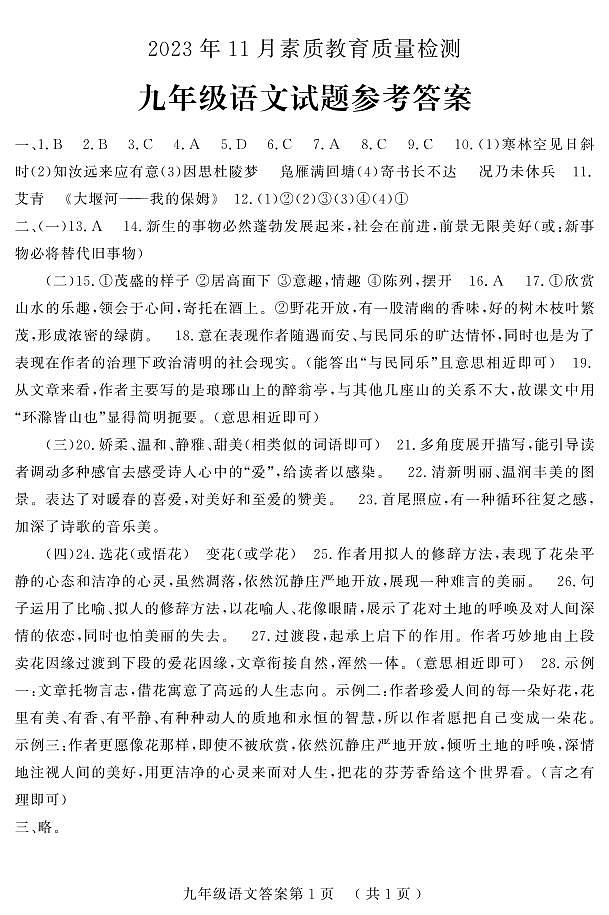 山东省菏泽市曹县2023-2024学年九年级上学期期中考试语文试题01