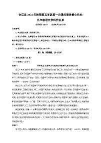 四川省泸州市合江县第五片区2022-2023学年九年级上学期期末定时作业语文试题