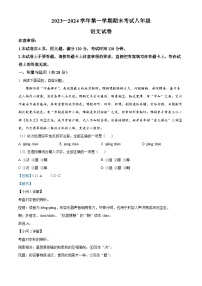 河南省洛阳市嵩县2023-2024学年八年级上学期期末语文试题