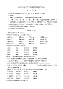 四川省雅安市2023-2024学年九年级上学期期末考试语文试题