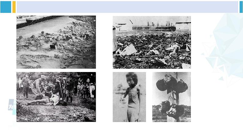 统编版七年级语文下册 8 土地的誓言（课件）第6页