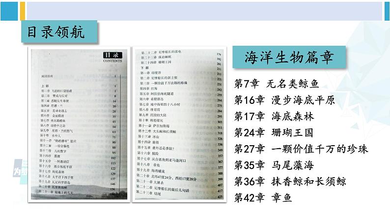 统编版七年级语文下册 第六单元 名著导读：《海底两万里》 快速阅读【第一课时】（课件）第7页