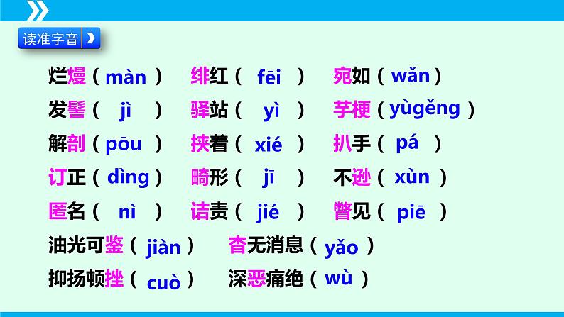 第6课 藤野先生-2024-2025学年八年级语文上册同步备课精品课件（部编版）第8页
