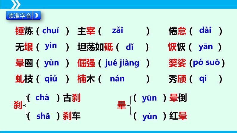 第15课 白杨礼赞-2024-2025学年八年级语文上册同步备课精品课件（部编版）06