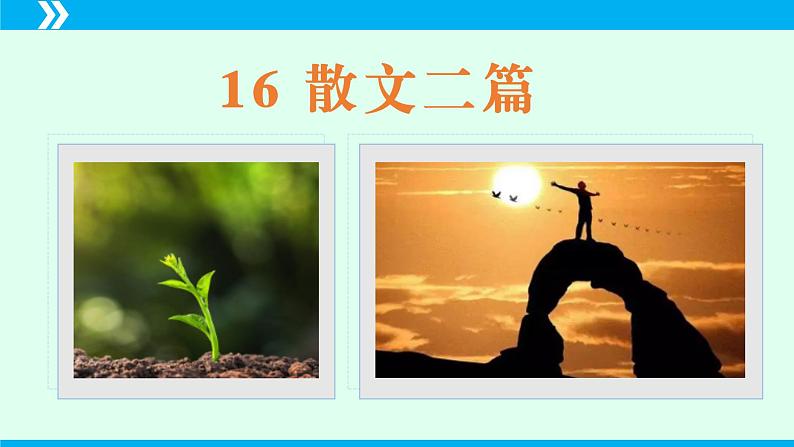 第16课 散文二篇-2024-2025学年八年级语文上册同步备课精品课件（部编版）第2页