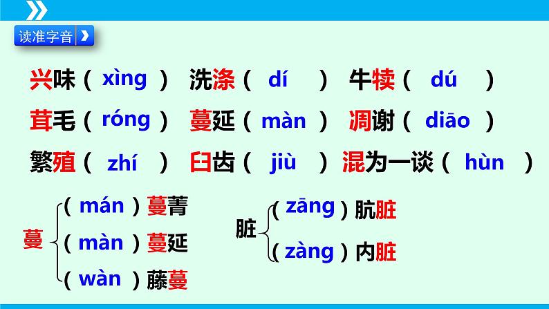 第16课 散文二篇-2024-2025学年八年级语文上册同步备课精品课件（部编版）第7页