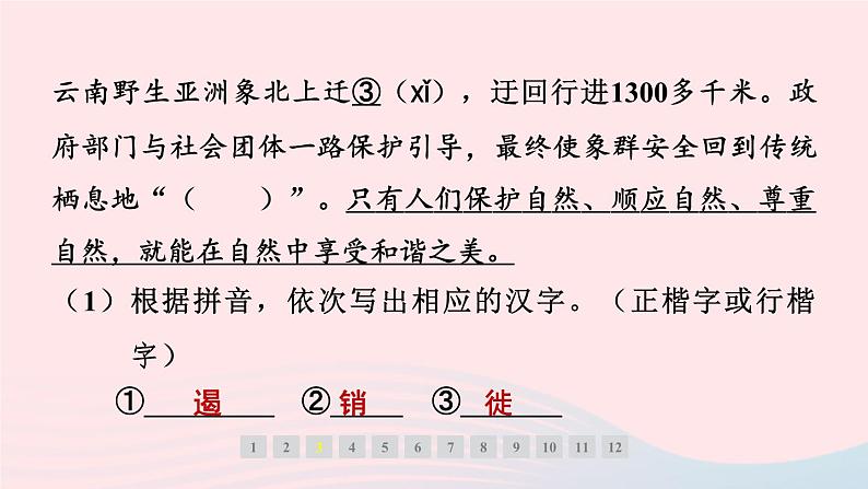 福建专版2024春八年级语文下册第五单元18在长江源头各拉丹冬作业课件新人教版第4页
