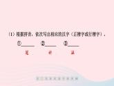 福建专版2024春八年级语文下册第一单元1社戏作业课件新人教版