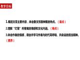 第4课《灯笼》课件2023-2024学年统编版语文八年级下册