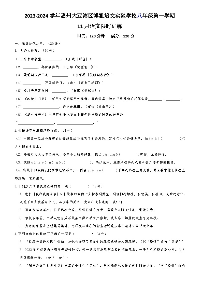 02，广东省惠州大亚湾区博雅培文实验学校2023-2024学年八年级上学期期中考试语文试卷01