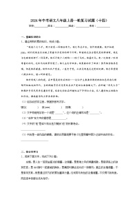 2024年中考语文八年级上册一轮复习试题（十四）