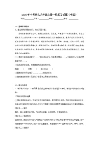 2024年中考语文八年级上册一轮复习试题（十五）