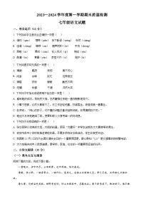 山东省菏泽市鄄城县2023-2024学年九年级上学期期末语文试题（原卷+解析）