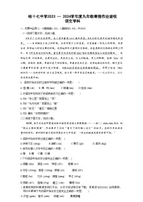 19，黑龙江省哈尔滨市第十七中学校2023-2024学年九年级下学期开学测试语文试卷(1)