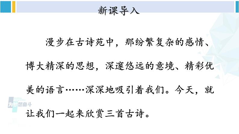 统编版八年级语文下册  24 唐诗三首《石壕吏》（课件）第3页