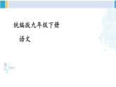 统编版九年级语文下册  1 祖国啊，我亲爱的祖国【第二课时】（课件）